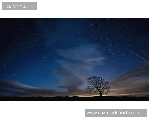 美洲足球明星的璀璨星空盘点及其传奇故事分享